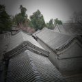 gal/China Year of Snake/_thb_Roofs.jpg
